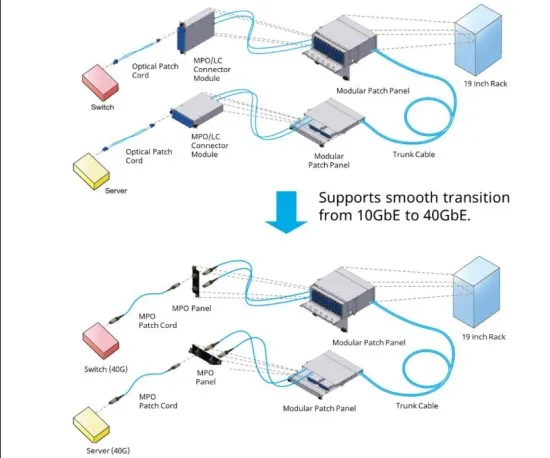 MPO to MPO Cable MPO to MPO Cable